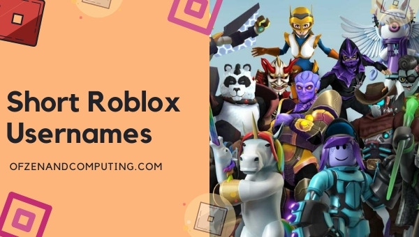 Short Roblox Usernames 2022 (Names)