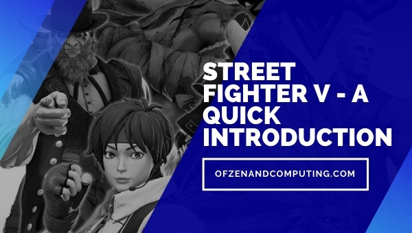 Street Fighter V - A Quick Introduction