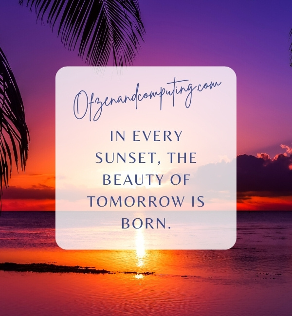 Beautiful Sunset Captions For Instagram (2022)
