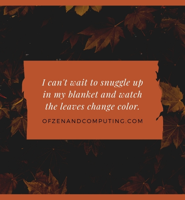 Cute Fall Captions For Instagram (2022)