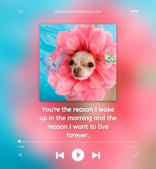 Cute Song Lyrics Captions For Instagram (2022)