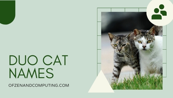 Duo Cat Names 2022