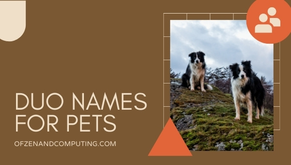 Funny and Cool Duo Names (%currentyear%): Pets, Friends, Girls, Boys 5 Duo Names for Pets 2022
