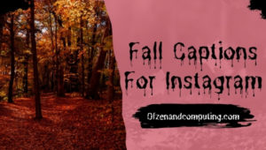 Fall Captions For Instagram (2022): Cute, Funny, Good