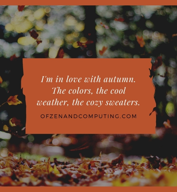 Good Fall Captions For Instagram (2022)