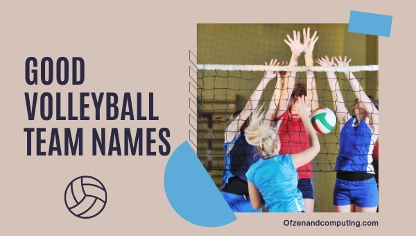 Good Volleyball Team Names Ideas (2025)
