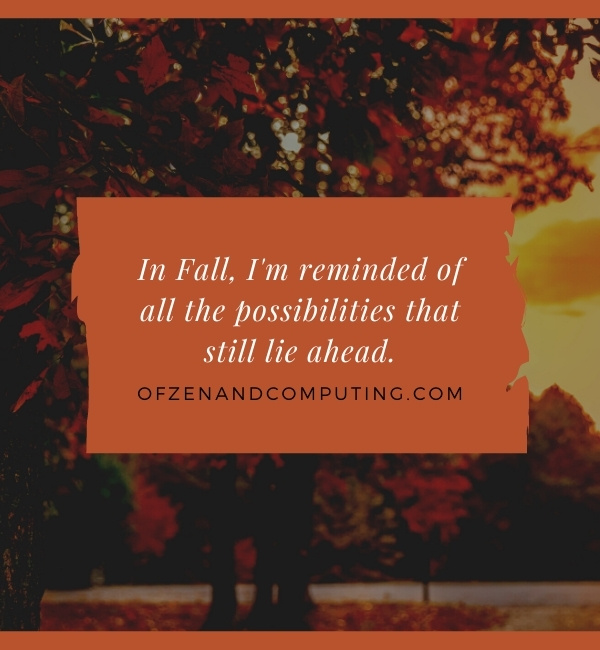 Inspirational Fall Captions For Instagram (2022)