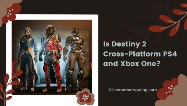 Is Destiny 2 Cross-Platform PS4 and Xbox One