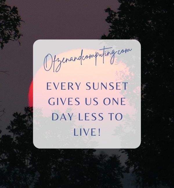 Sunset Quotes For Instagram Captions (2022)