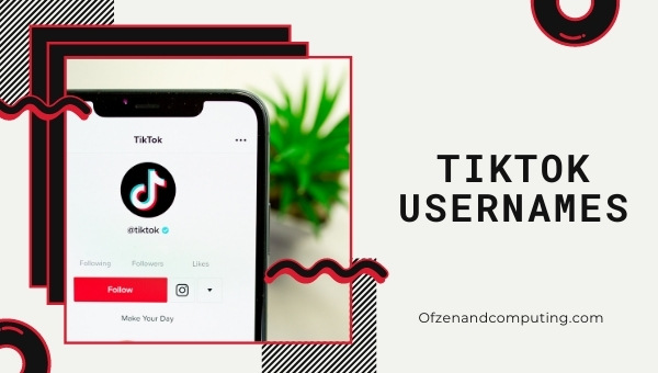 TikTok Usernames Ideas (2022)