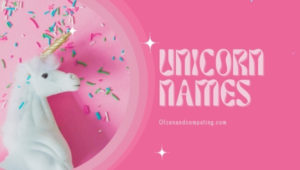 Good Unicorn Names (2022): Cute, Funny, Male, Female