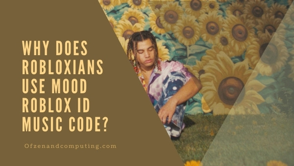 Why do Robloxians use Mood Roblox Music ID Code?