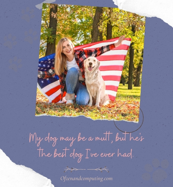 Captions For National Dog Day (2022)