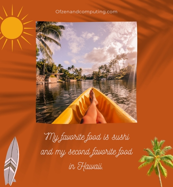 Clever Hawaii Captions For Instagram (2022)