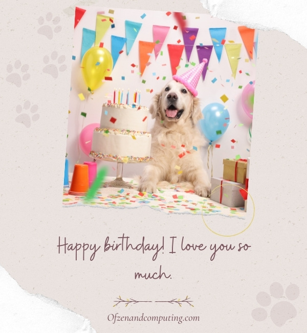 Dog Birthday Captions For Instagram (2022)