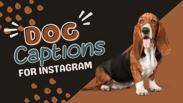 Dog Captions For Instagram (2022) Funny, Cute, Birthday
