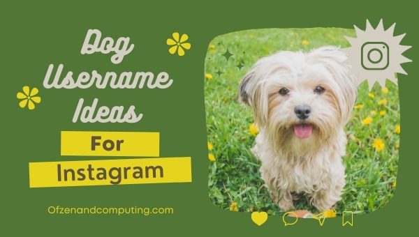Dog Username Ideas For Instagram (2022)