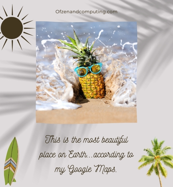 Funny Hawaii Captions For Instagram (2022)