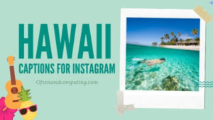 Hawaii Captions For Instagram (2022) Quotes, Funny, Cute