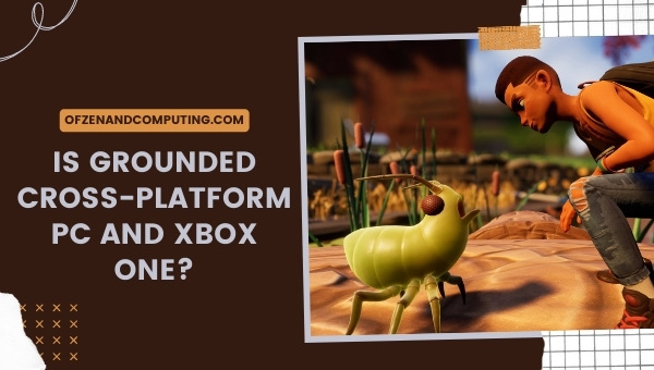 Is Grounded Cross-Platform PC and Xbox One?