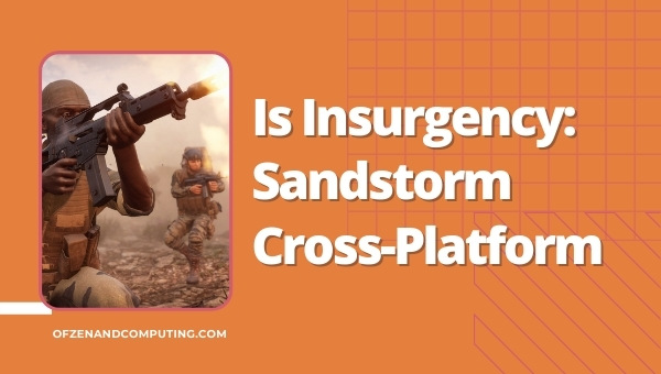 Is Insurgency: Sandstorm Cross-Platform in 2023?