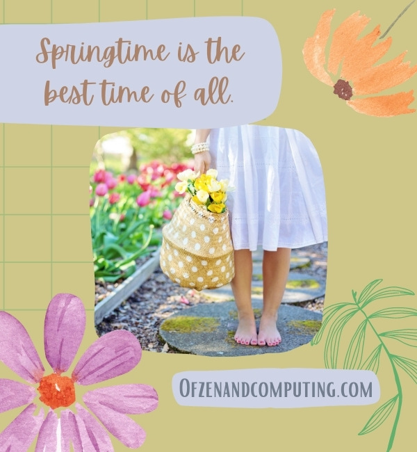 First Day Of Spring Captions For Instagram (2022)