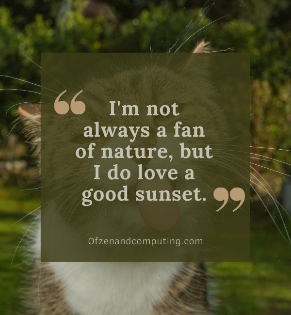 Funny Nature Captions For Instagram