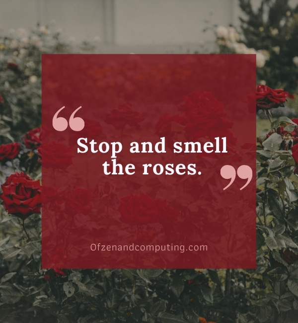 Good Nature Captions For Instagram (2022)