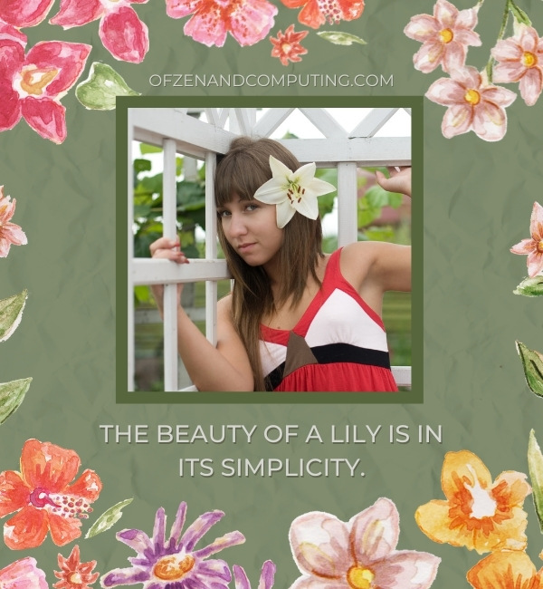 Lily Flower Captions For Instagram (2022)