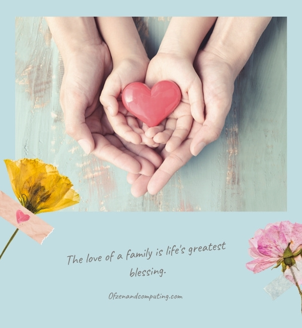 Love Instagram Quotes For Family (2022)