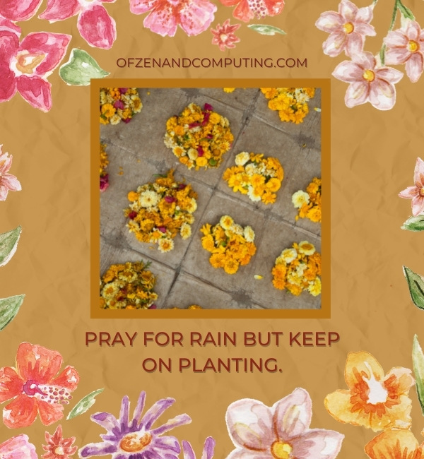 Cute Flower Captions For Instagram (2022)