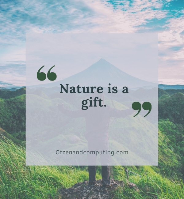 More Nature Caption Ideas For Instagram (2022)