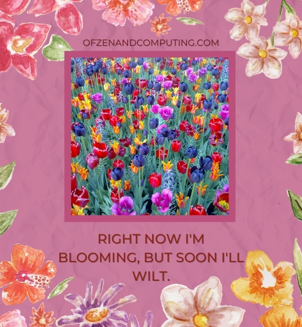 Savage Flower Captions For Instagram (2022)