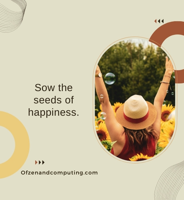 Simple Sunflower Captions For Instagram (2022)