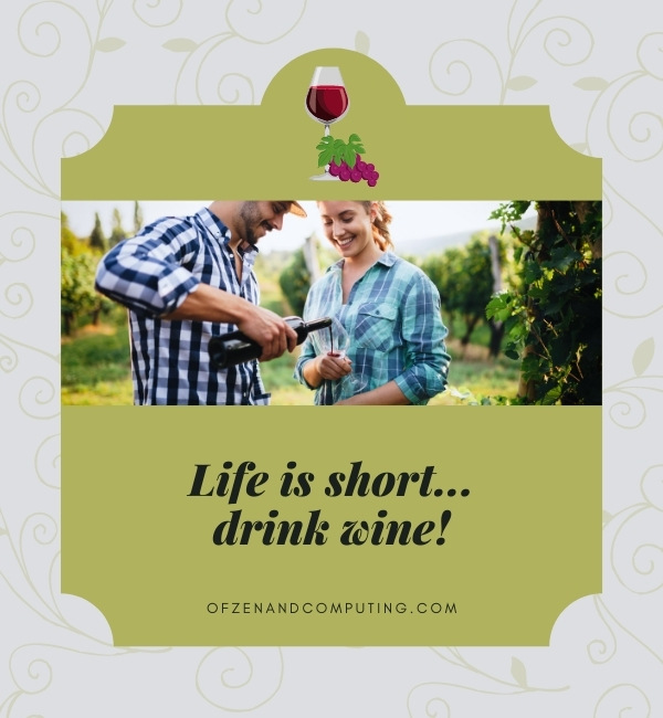 Wine Puns Captions For Instagram (2022)