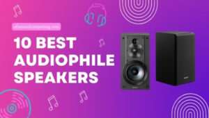 10 Best Audiophile Speakers