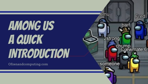Among Us - A Quick Introduction