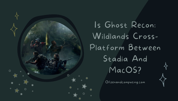 Is Ghost Recon Wildlands Cross-Platform Between Stadia And MacOS?