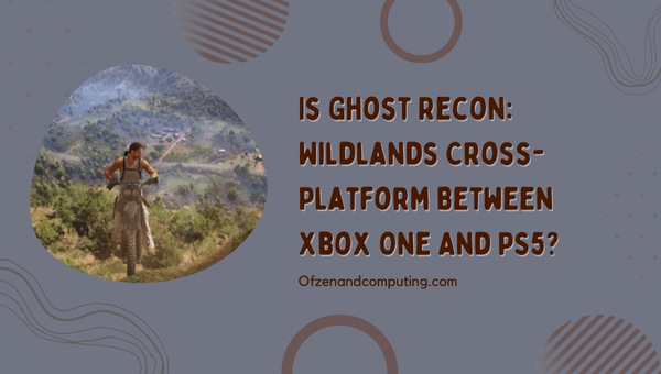 Is Ghost Recon Wildlands Cross-Platform Between Xbox One And PS5?