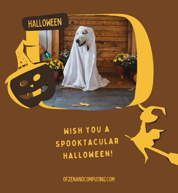 Short Halloween Captions For Instagram (2022)