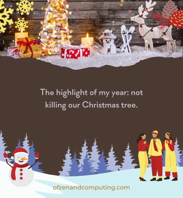 A Complete List Of Top 50 Christmas Tree Captions For vrogue.co