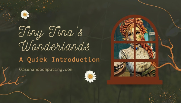 Tiny Tina’s Wonderlands - A Quick Introduction