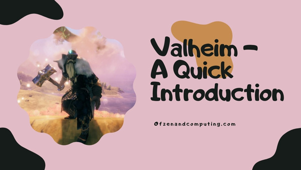 Valheim - A Quick Introduction
