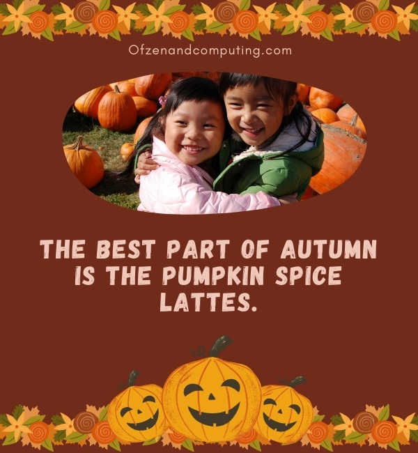 Cute Pumpkin Patch Captions For Instagram (2022)