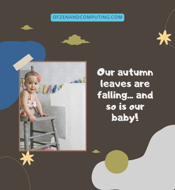 Fall Baby Announcement Captions For Instagram (2022)