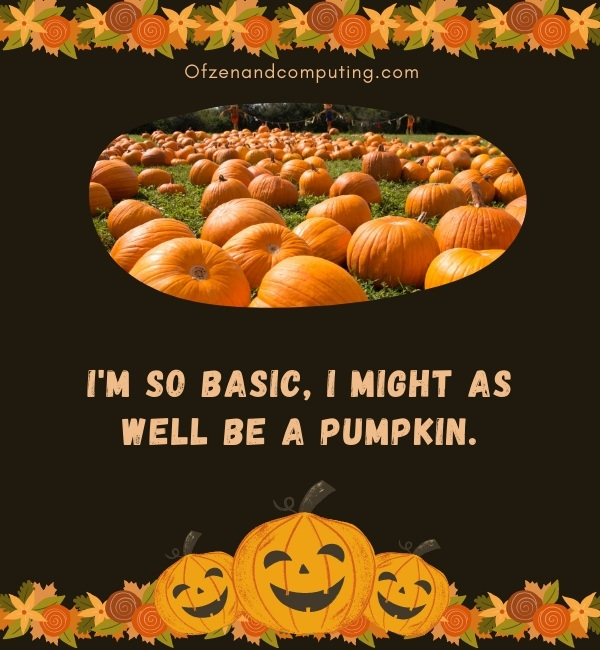 Funny Pumpkin Patch Captions For Instagram (2022)