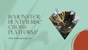 Is Monster Hunter Rise Cross-Platform in [cy]? [PC, Switch]