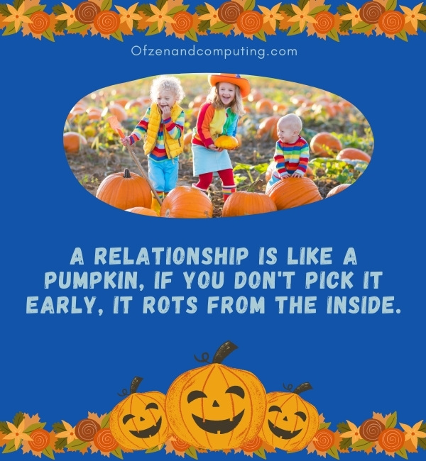 Pumpkin Patch Instagram Captions For Couples (2023)