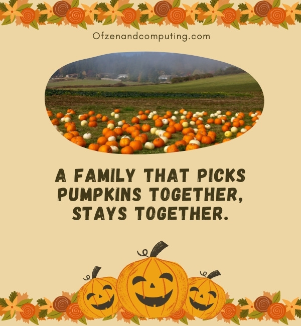 Pumpkin Patch Instagram Captions For Family (2022)