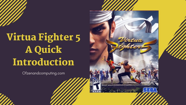 Virtua Fighter 5 Ultimate Showdown - A Quick Introduction